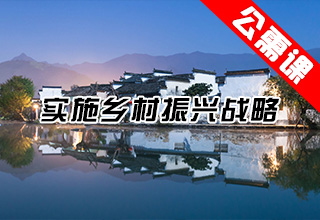 实施乡村振兴战略
